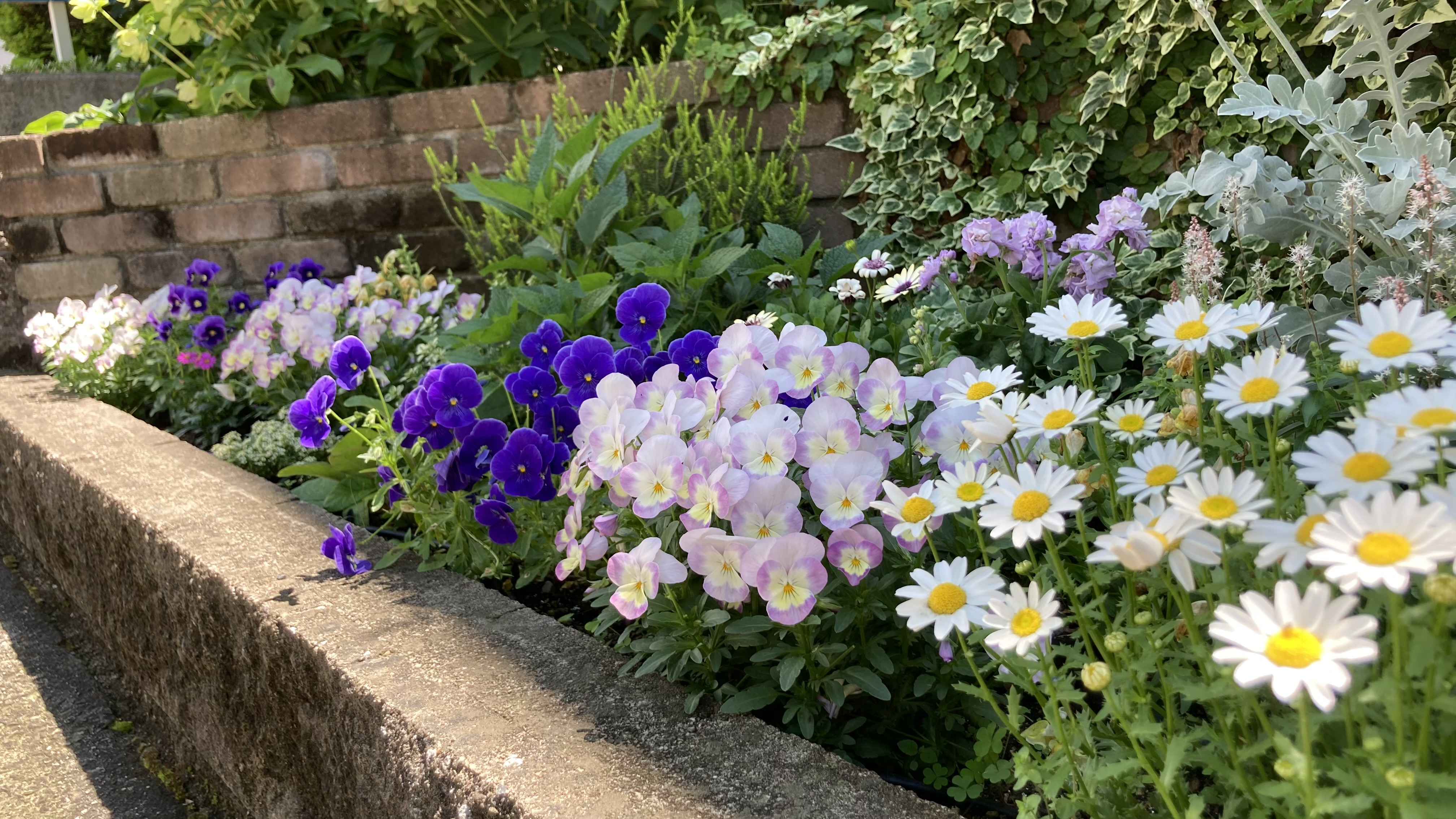 スタッフ全員が一体となりよりよい医療につなぐ