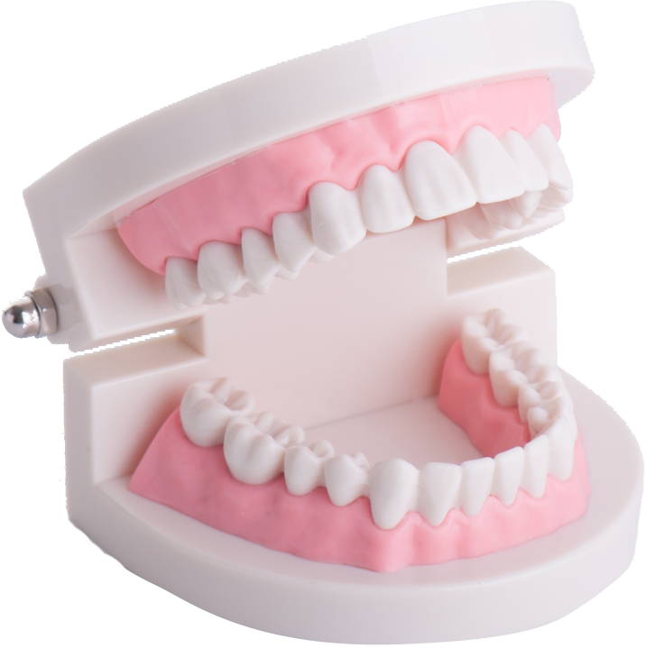 保険診療で作る入れ歯