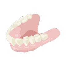 入れ歯